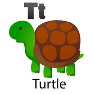 Alphabet T with turtle
