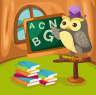 Owl teaching