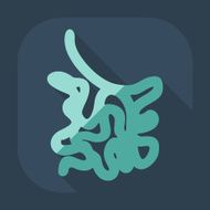 Flat modern design with shadow icons small intestine N11