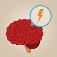 Brain Illustration N171