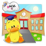 Duck and school N2