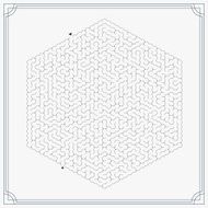 modern hexagon maze