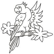 parrot coloring N2