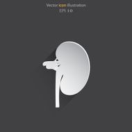 Vector flat kidney icon N5