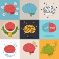 Brain Illustration N186