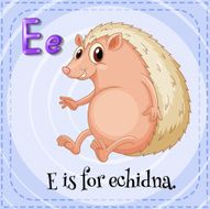 Letter E N31