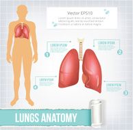 Vector lungs infographics banner illustration N2