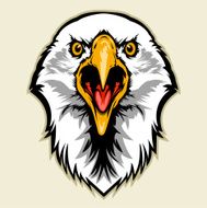 Eagle Head N4