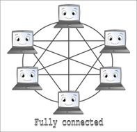 Fully connected network topology