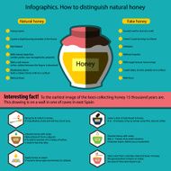 Infographics How to distinguish natural honey from a fake