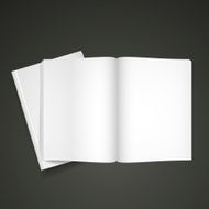 Blank Open Book N10