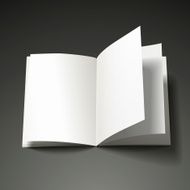 Blank Open Book N11