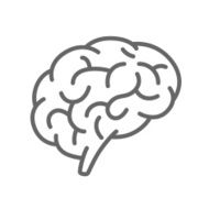 Silhouette of the brain on a white background N4