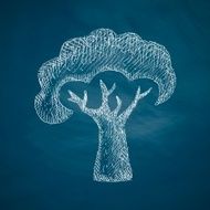 Tree Icon N16