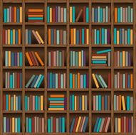 Bookshelf N17