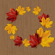 Autumn Frame N2