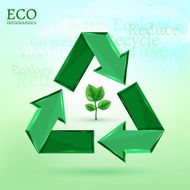 ecology bio infographics