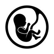 Fetus Icon Isolated on White Background