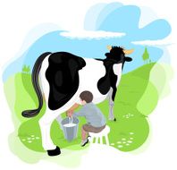 boy milking a cow