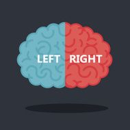 Left and right human brain vector illustration N4