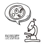 Microscope N21