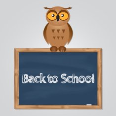 funny owl with school board N3