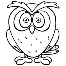 owl N52