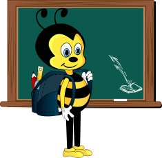 Back To School N1153