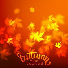 Vector autumn leaves background unfocused blurred red maple