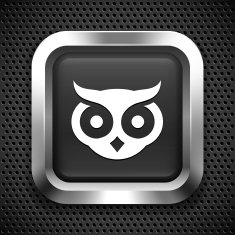 Owl on Black Square Button