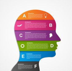 Infographic template business stripe silhouette human face
