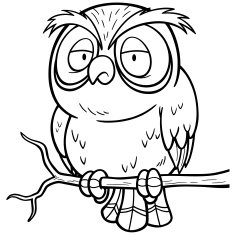 owl N54