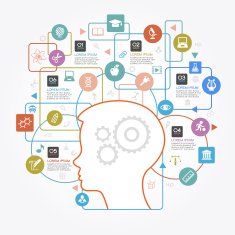 Flat linear Infographic Education N3
