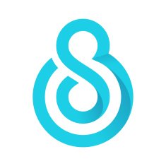 S letter line logo N21