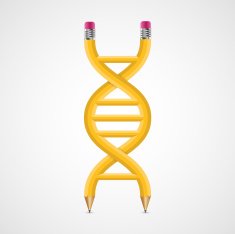 3D creative Icon DNA from pencils N2