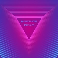 Vector cover flyer with metamorphoses triangles N2