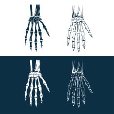 set of skeleton hands N3