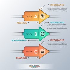 Modern infographics options banner N178
