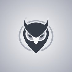 owl N57