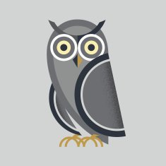 Owl Vector N5