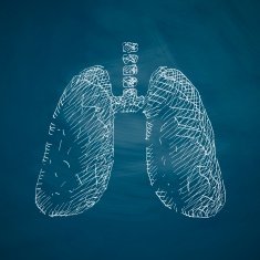 lung icon N8