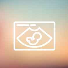 Fetal ultrasound thin line icon N4