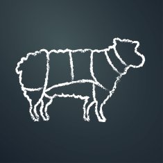 Sheep chalk painted on chalkboard outline vector illustration