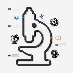 Education Infographic N134