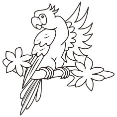 parrot coloring N2