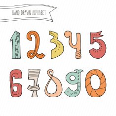 Vector Numbers N2