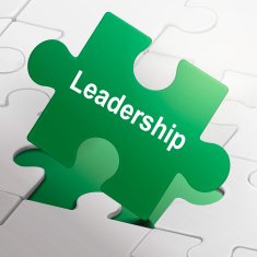 leadership word on green puzzle pieces