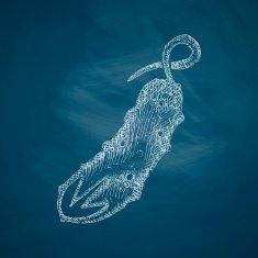 cucumber icon N3