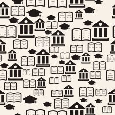 High education background N2