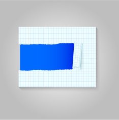 Torn Paper N9
